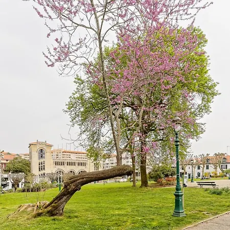 Апартаменти Dogon Reef - Plages - Halles - Hypercentre