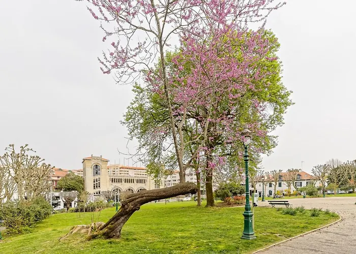 Lägenhet Dogon Reef - Plages - Halles - Hypercentre
